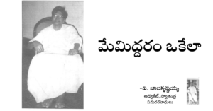 Read more about the article మేమిద్దరం ఒకేలా