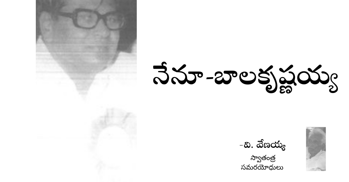 Read more about the article నేనూ-బాలకృష్ణయ్య