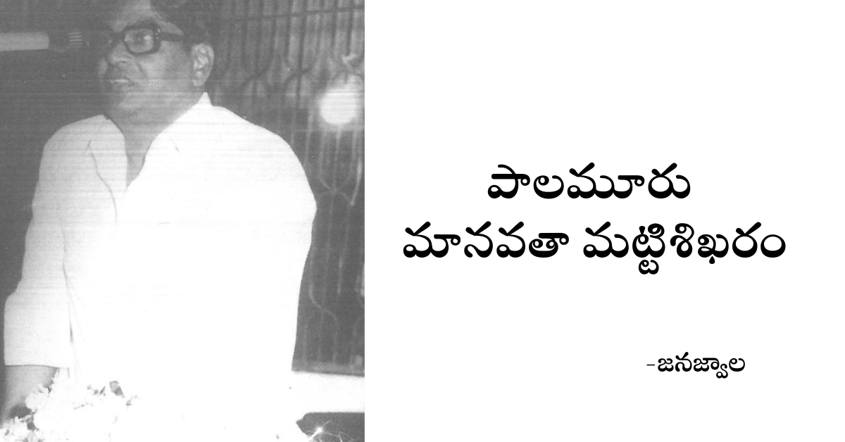 Read more about the article పాలమూరు మానవతా మట్టి శిఖరం